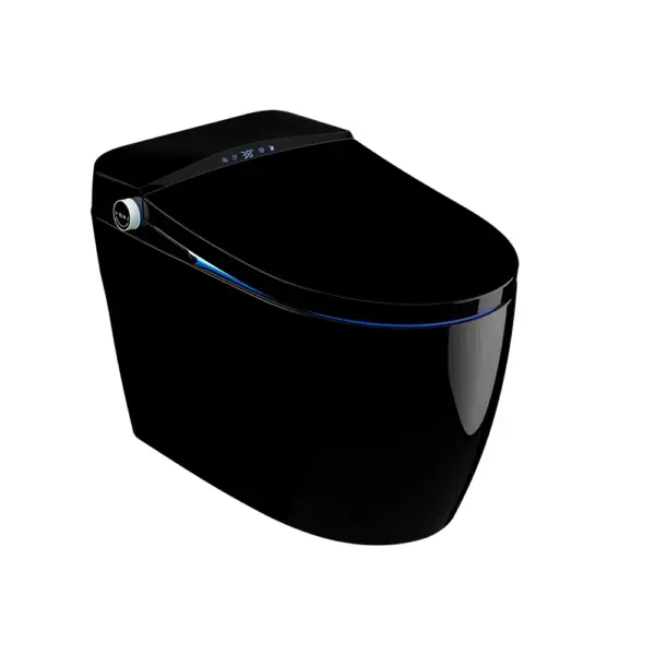 One-Piece Elongated Black Smart Toilet Automatic Toilet Self-Clean Horizontal Outlet - Image 9